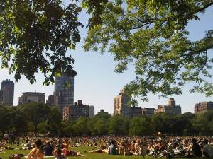 Update: Today in Central Park. Perfect Day!